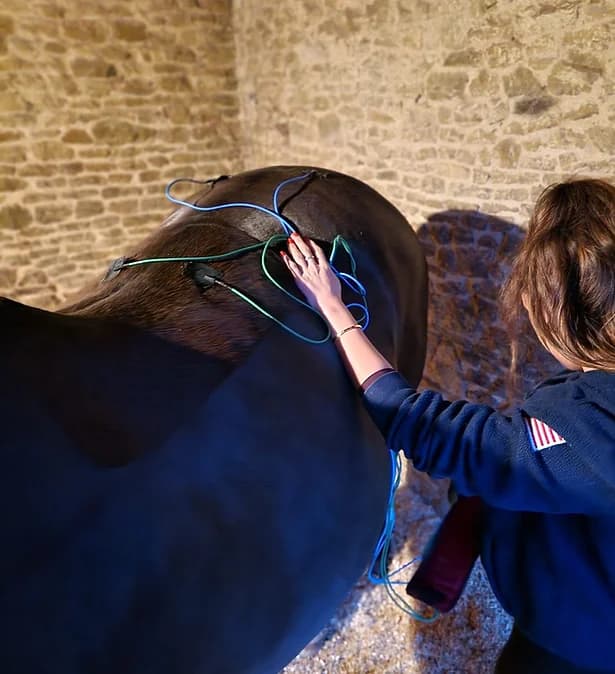 Maddie leading a horse