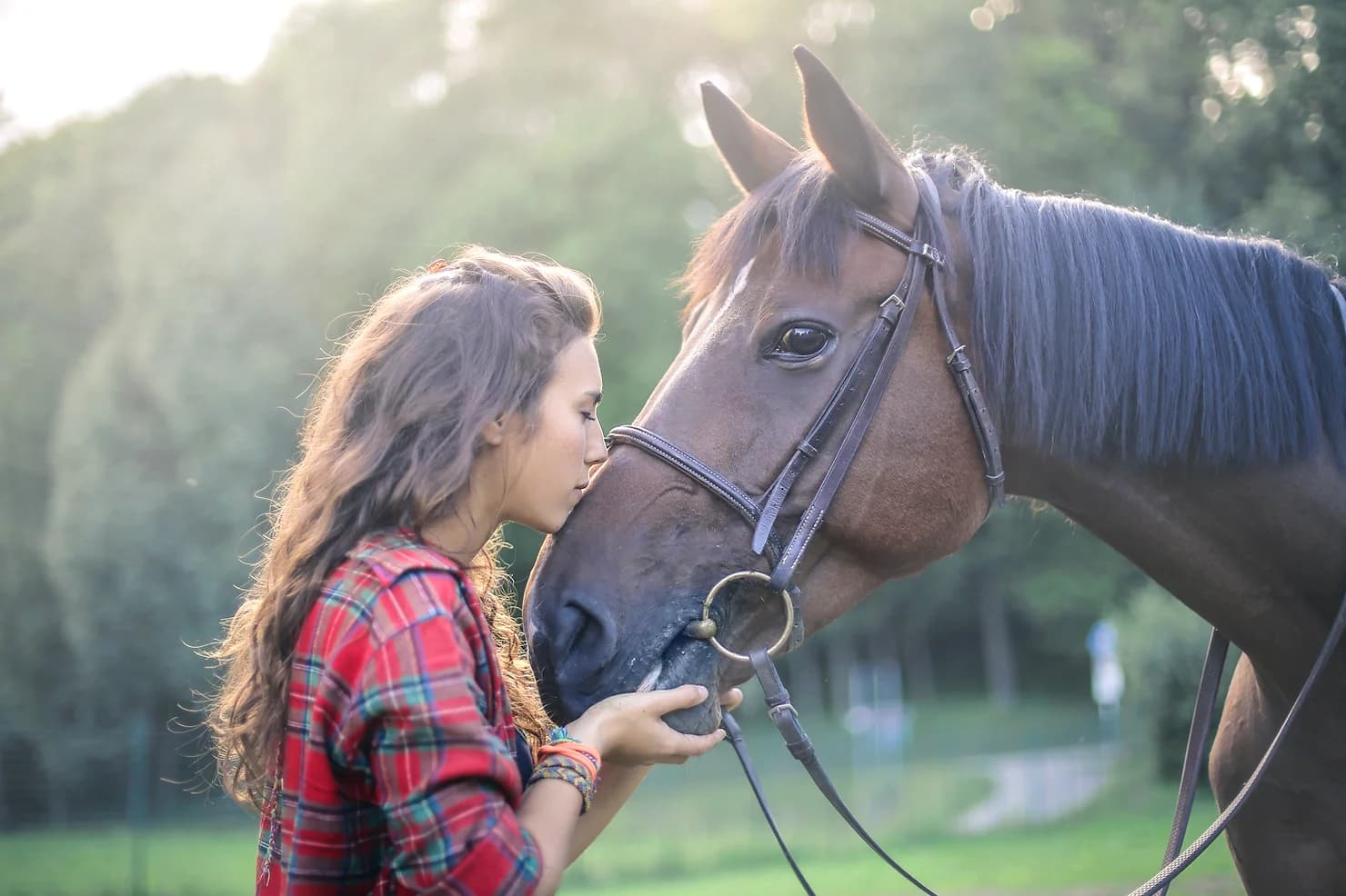 A person kissing their horse on the nose.