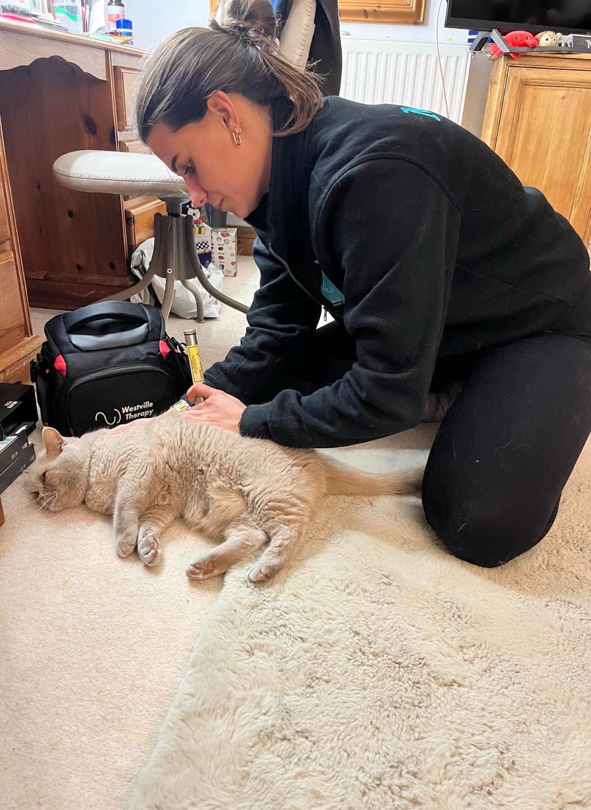 Maddie assisting a cat.